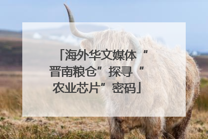 海外华文媒体“晋南粮仓”探寻“农业芯片”密码