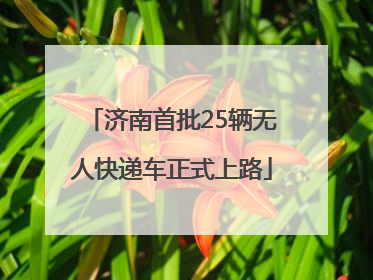 济南首批25辆无人快递车正式上路
