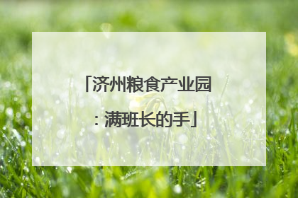 济州粮食产业园：满班长的手
