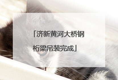 济新黄河大桥钢桁梁吊装完成