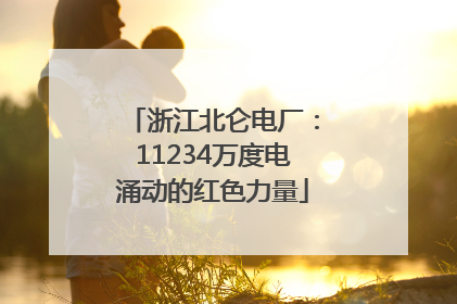 浙江北仑电厂：11234万度电涌动的红色力量