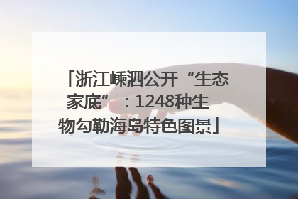 浙江嵊泗公开“生态家底”：1248种生物勾勒海岛特色图景