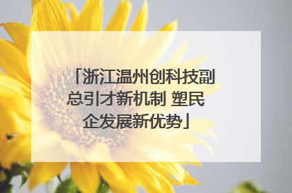 浙江温州创科技副总引才新机制 塑民企发展新优势