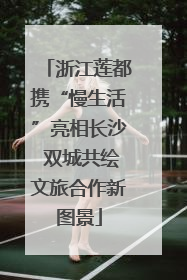 浙江莲都携“慢生活”亮相长沙 双城共绘文旅合作新图景