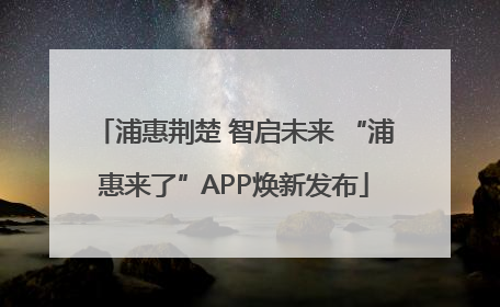 浦惠荆楚 智启未来 “浦惠来了”APP焕新发布