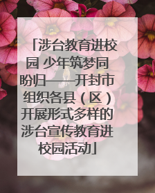 涉台教育进校园 少年筑梦同盼归——开封市组织各县（区）开展形式多样的涉台宣传教育进校园活动