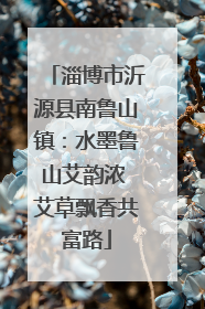 淄博市沂源县南鲁山镇：水墨鲁山艾韵浓 艾草飘香共富路