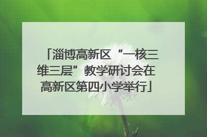 淄博高新区“一核三维三层”教学研讨会在高新区第四小学举行