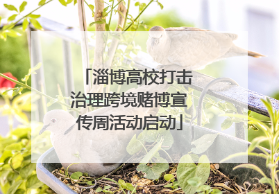 淄博高校打击治理跨境赌博宣传周活动启动