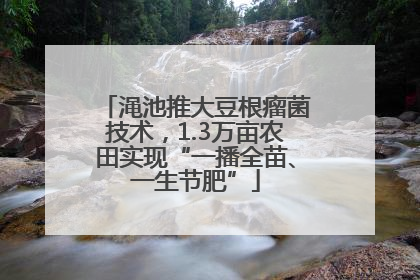渑池推大豆根瘤菌技术，1.3万亩农田实现“一播全苗、一生节肥”