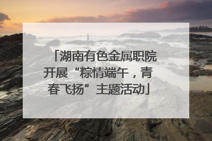 湖南有色金属职院开展“粽情端午，青春飞扬”主题活动