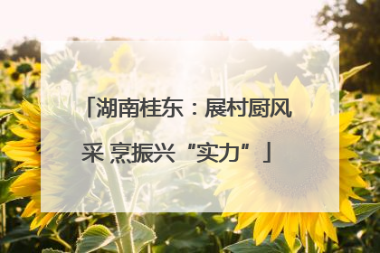 湖南桂东：展村厨风采 烹振兴“实力”