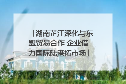 湖南芷江深化与东盟贸易合作 企业借力国际陆港拓市场