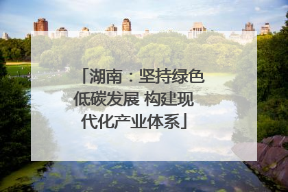 湖南：坚持绿色低碳发展 构建现代化产业体系