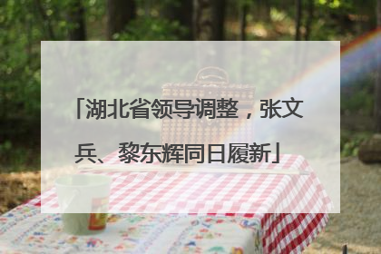湖北省领导调整，张文兵、黎东辉同日履新