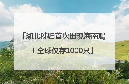 湖北秭归首次出现海南鳽！全球仅存1000只