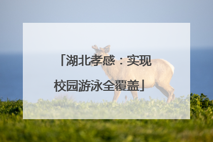 湖北孝感：实现校园游泳全覆盖