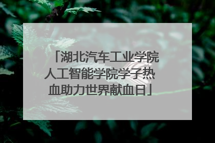 湖北汽车工业学院人工智能学院学子热血助力世界献血日