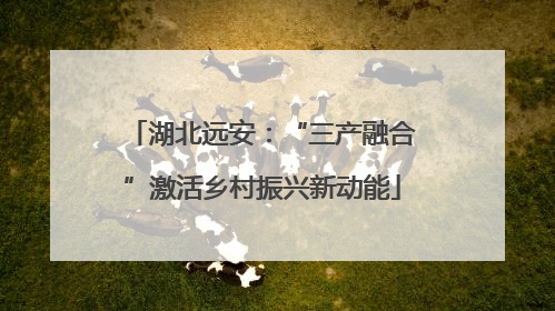 湖北远安：“三产融合”激活乡村振兴新动能