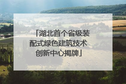 湖北首个省级装配式绿色建筑技术创新中心揭牌