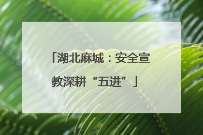 湖北麻城：安全宣教深耕“五进”