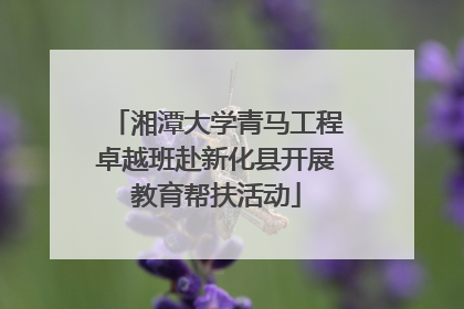 湘潭大学青马工程卓越班赴新化县开展教育帮扶活动