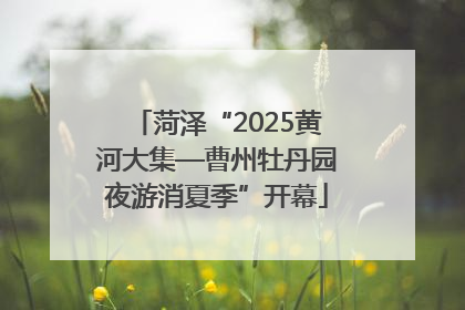 菏泽“2025黄河大集—曹州牡丹园夜游消夏季”开幕