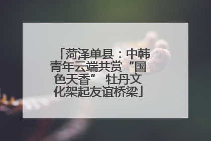 菏泽单县：中韩青年云端共赏“国色天香” 牡丹文化架起友谊桥梁