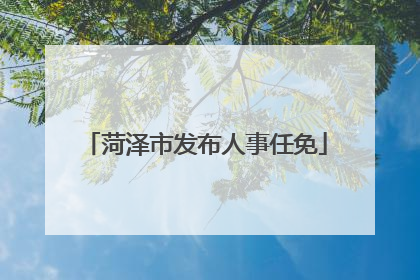 菏泽市发布人事任免