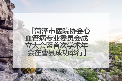 菏泽市医院协会心血管病专业委员会成立大会暨首次学术年会在曹县成功举行