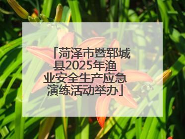 菏泽市暨郓城县2025年渔业安全生产应急演练活动举办