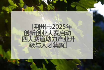 荆州市2025年创新创业大赛启动 四大赛道助力产业升级与人才集聚