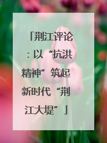 荆江评论：以“抗洪精神”筑起新时代“荆江大堤”