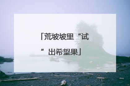 荒坡坡里“试”出希望果