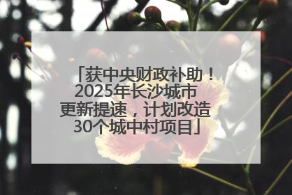 获中央财政补助！2025年长沙城市更新提速，计划改造30个城中村项目