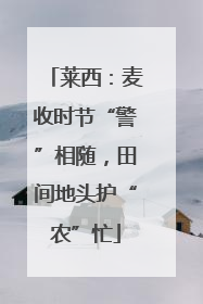莱西：麦收时节“警”相随，田间地头护“农”忙