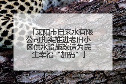 莱阳市自来水有限公司扎实推进老旧小区供水设施改造为民生幸福“加码”
