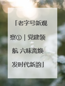 老字号新观察①｜党建领航 六味斋焕发时代新韵