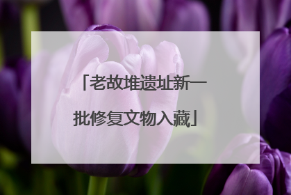 老故堆遗址新一批修复文物入藏