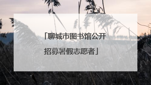 聊城市图书馆公开招募暑假志愿者