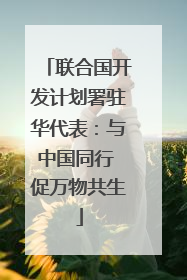 联合国开发计划署驻华代表：与中国同行 促万物共生