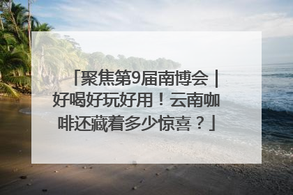 聚焦第9届南博会｜好喝好玩好用！云南咖啡还藏着多少惊喜？