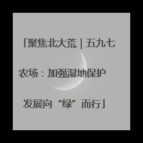 聚焦北大荒｜五九七农场：加强湿地保护 发展向“绿”而行