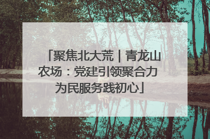 聚焦北大荒｜青龙山农场：党建引领聚合力 为民服务践初心