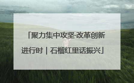 聚力集中攻坚·改革创新进行时｜石榴红里话振兴