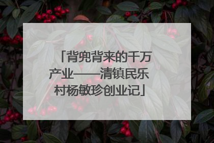 背兜背来的千万产业——清镇民乐村杨敏珍创业记