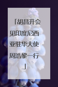 胡昌升会见印度尼西亚驻华大使周浩黎一行