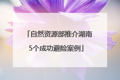 自然资源部推介湖南5个成功避险案例