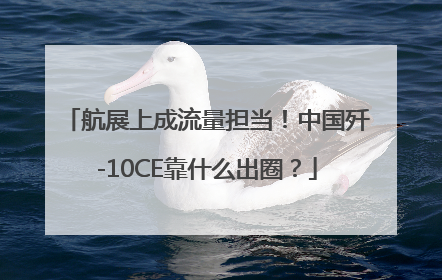 航展上成流量担当！中国歼-10CE靠什么出圈？