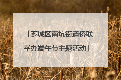 芗城区南坑街道侨联举办端午节主题活动